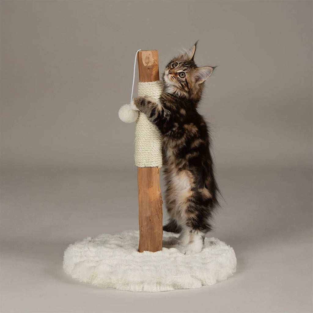 Scruffs Alpine Andes 'My First' Cat Scratching Post - Cream or Taupe