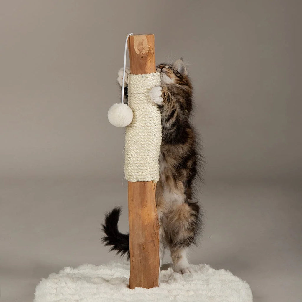 Scruffs Alpine Andes 'My First' Cat Scratching Post - Cream or Taupe