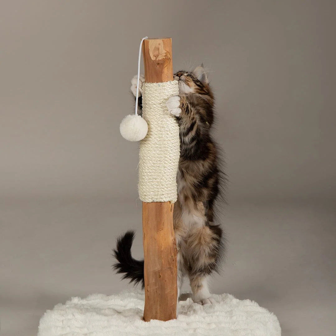 Scruffs Alpine Andes 'My First' Cat Scratching Post - Cream or Taupe