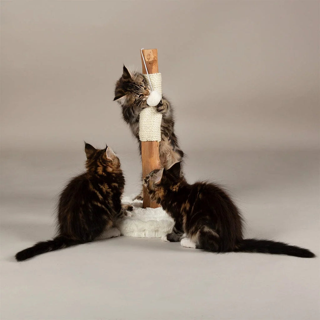Scruffs Alpine Andes 'My First' Cat Scratching Post - Cream or Taupe