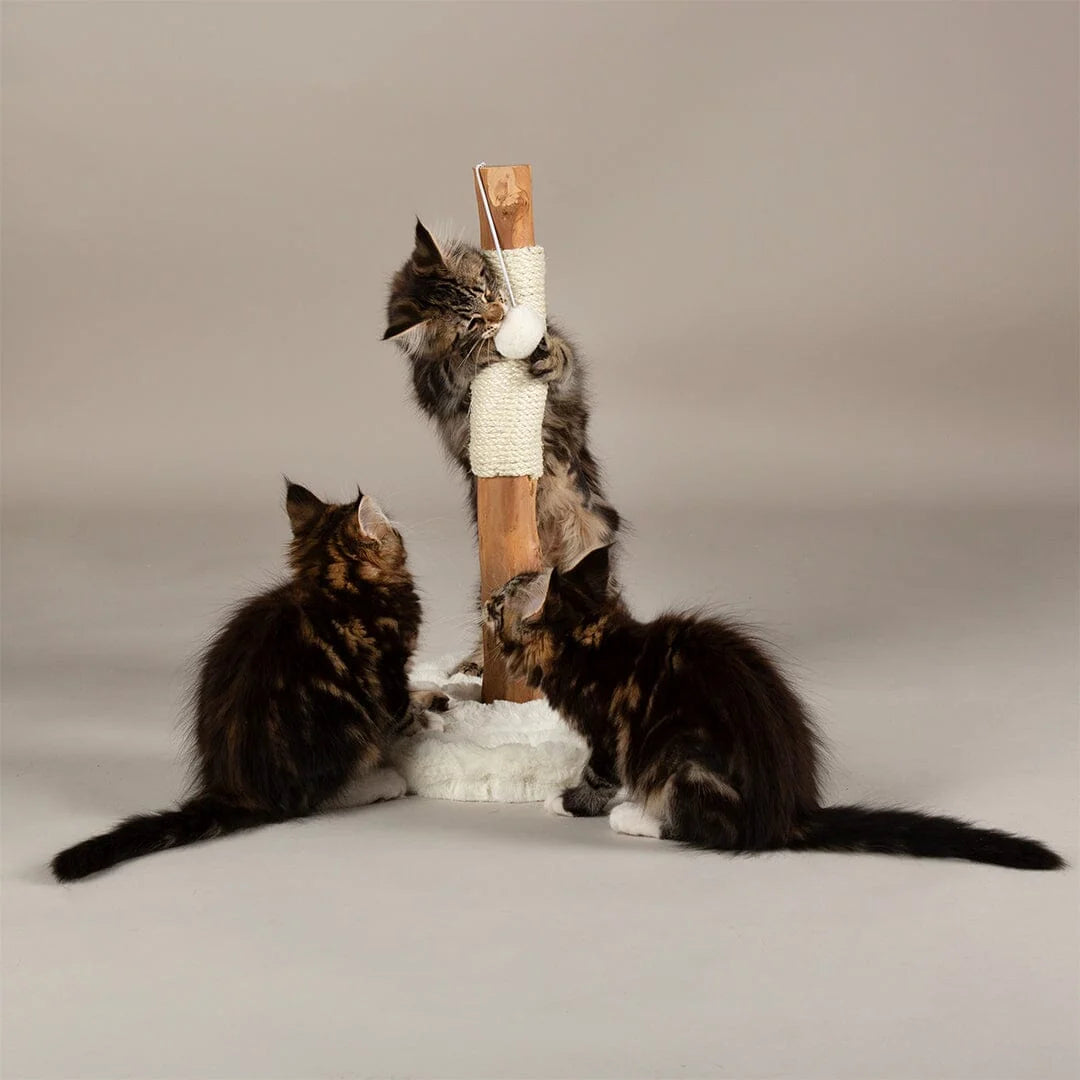 Scruffs Alpine Andes 'My First' Cat Scratching Post - Cream or Taupe