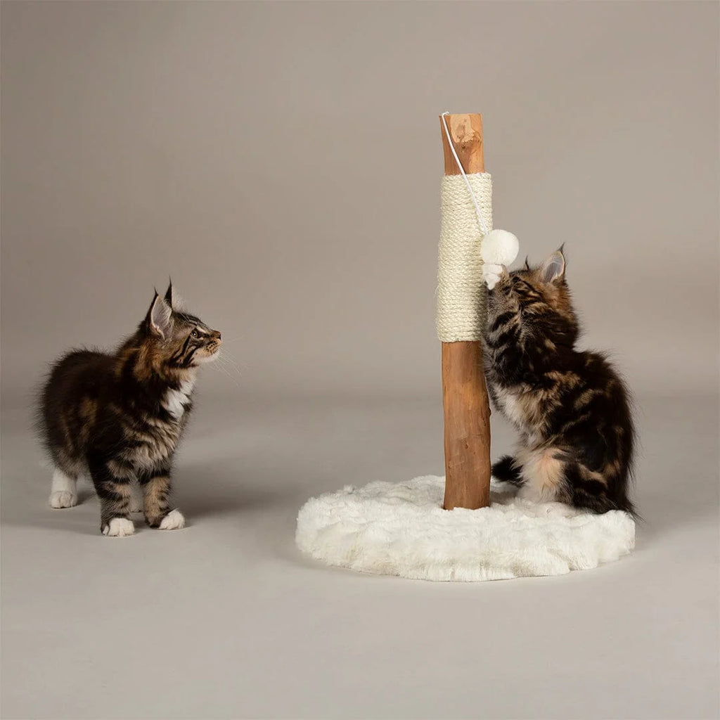 Scruffs Alpine Andes 'My First' Cat Scratching Post - Cream or Taupe