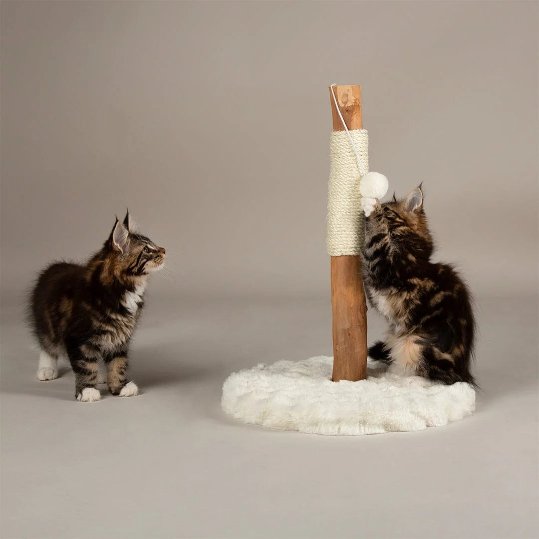 Scruffs Alpine Andes 'My First' Cat Scratching Post - Cream or Taupe