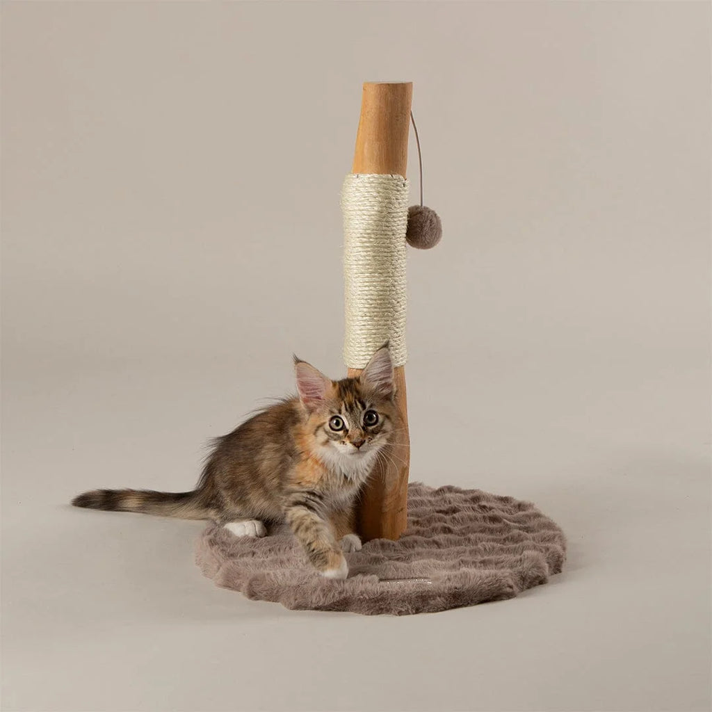 Scruffs Alpine Andes 'My First' Cat Scratching Post - Cream or Taupe