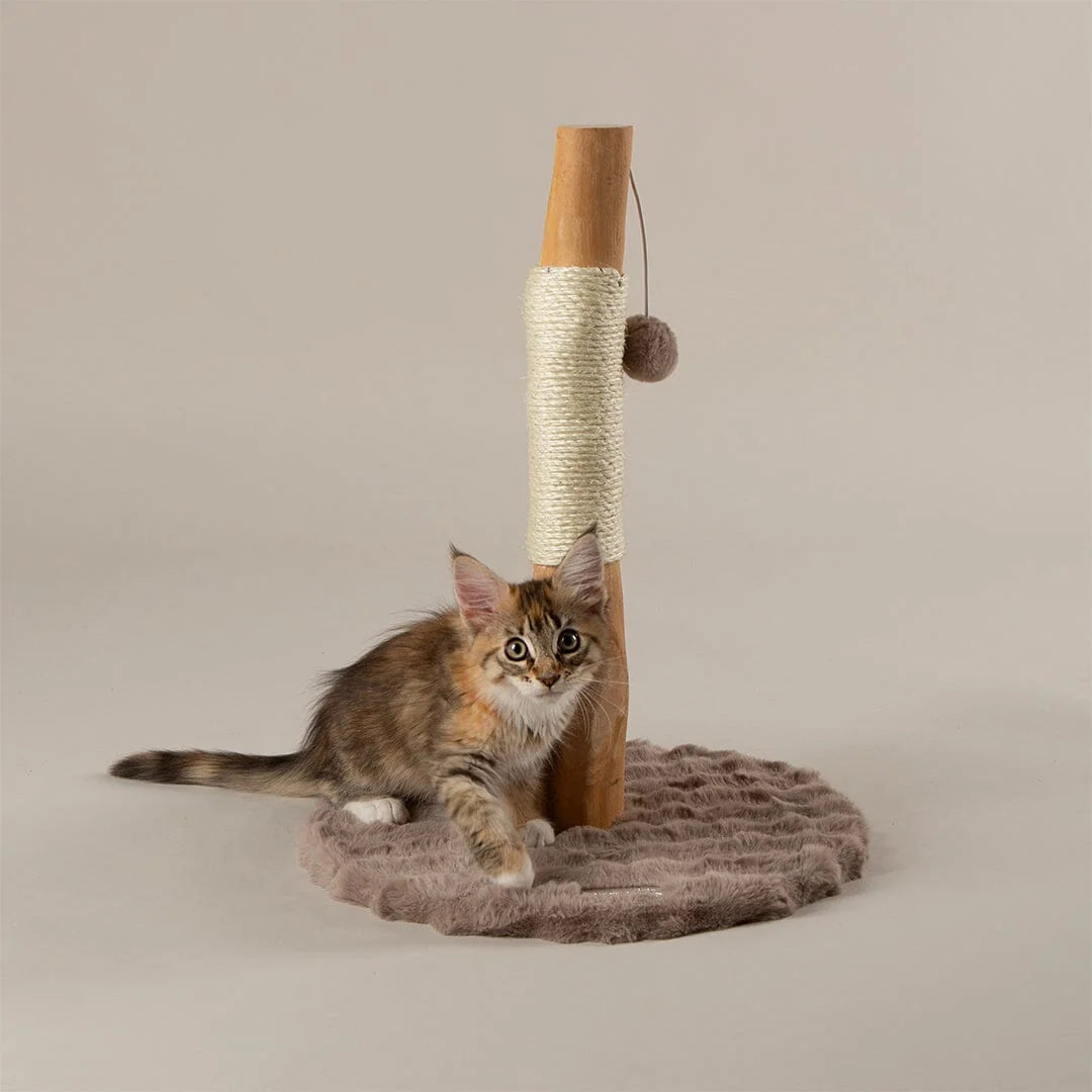 Scruffs Alpine Andes 'My First' Cat Scratching Post - Cream or Taupe