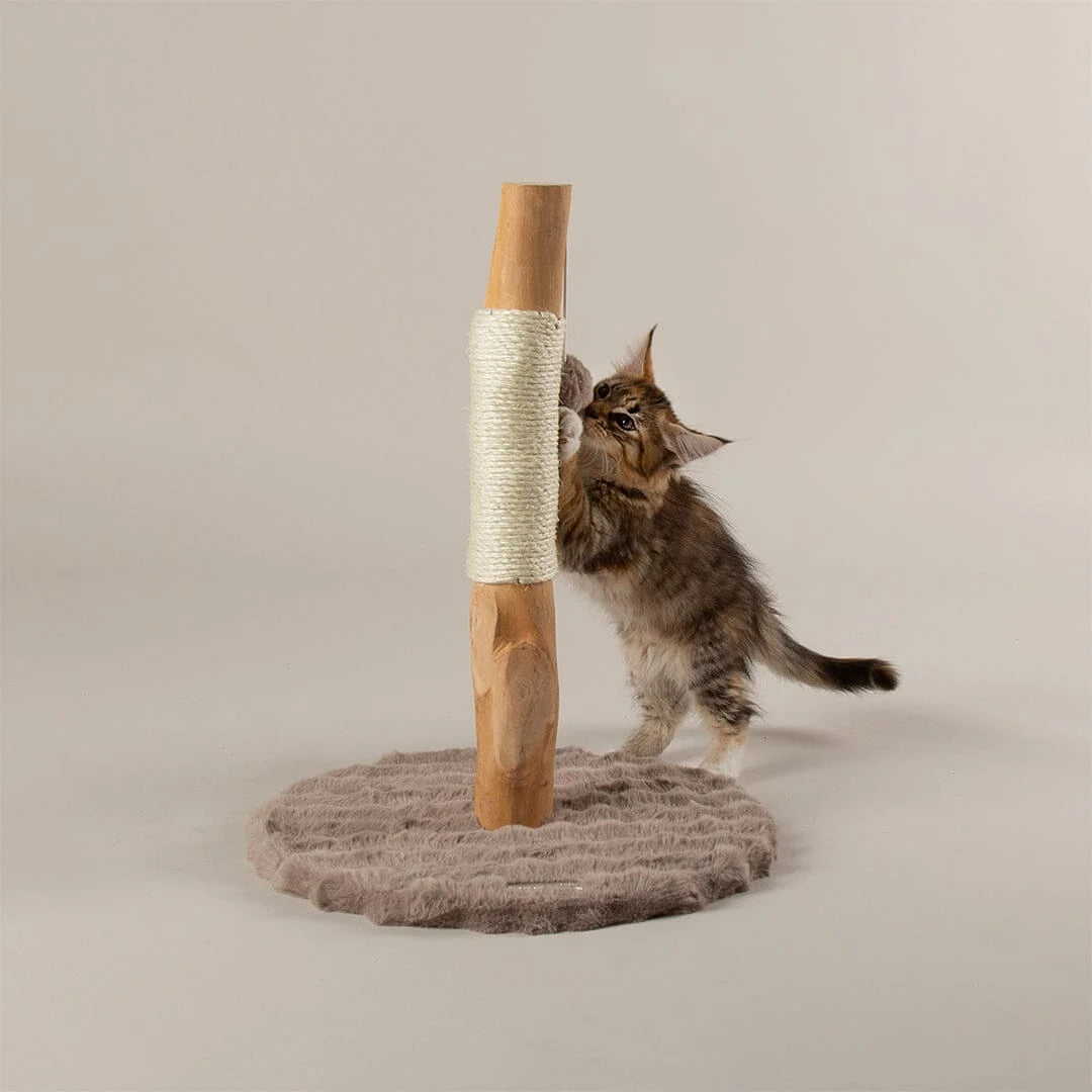 Scruffs Alpine Andes 'My First' Cat Scratching Post - Cream or Taupe