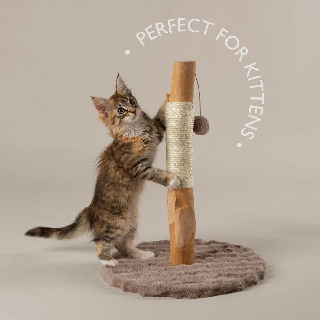 Scruffs Alpine Andes 'My First' Cat Scratching Post - Cream or Taupe